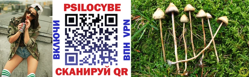 Купить  Иланский  Псилоцибиновые грибы Psilocybe 